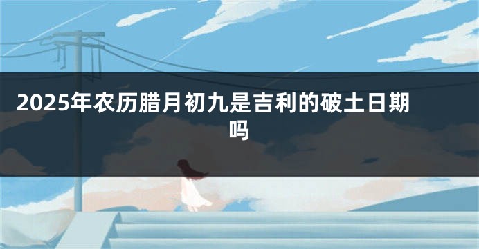2025年农历腊月初九是吉利的破土日期吗