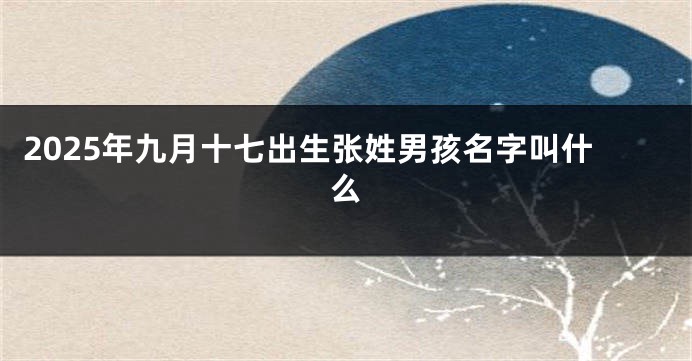 2025年九月十七出生张姓男孩名字叫什么