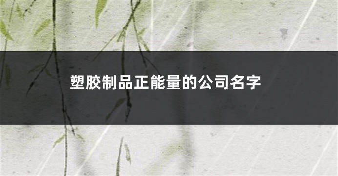 塑胶制品正能量的公司名字