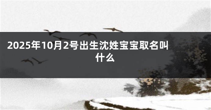 2025年10月2号出生沈姓宝宝取名叫什么