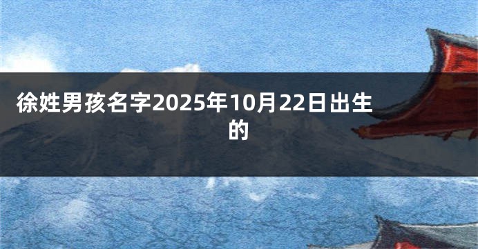 徐姓男孩名字2025年10月22日出生的