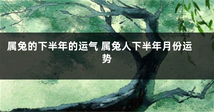 属兔的下半年的运气 属兔人下半年月份运势