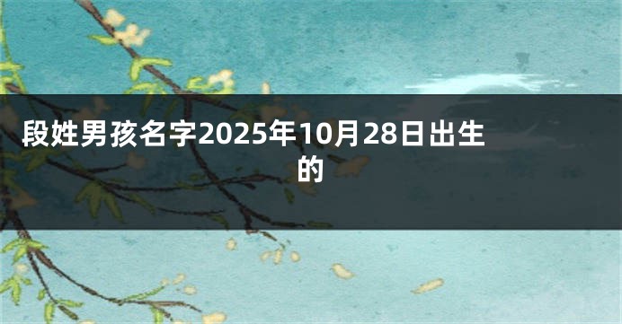 段姓男孩名字2025年10月28日出生的