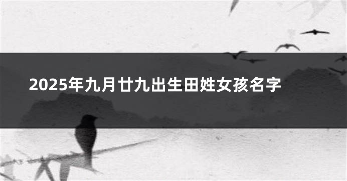 2025年九月廿九出生田姓女孩名字