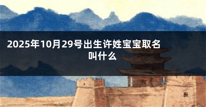 2025年10月29号出生许姓宝宝取名叫什么