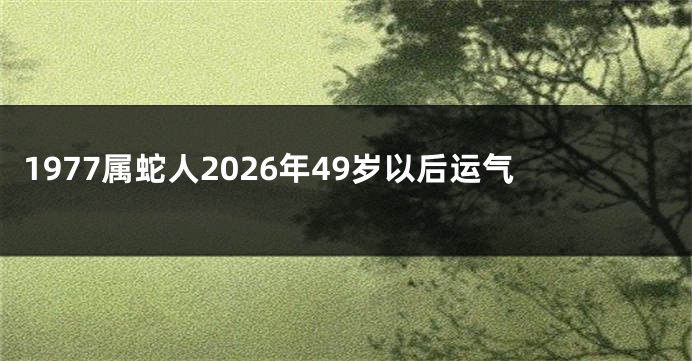 1977属蛇人2026年49岁以后运气