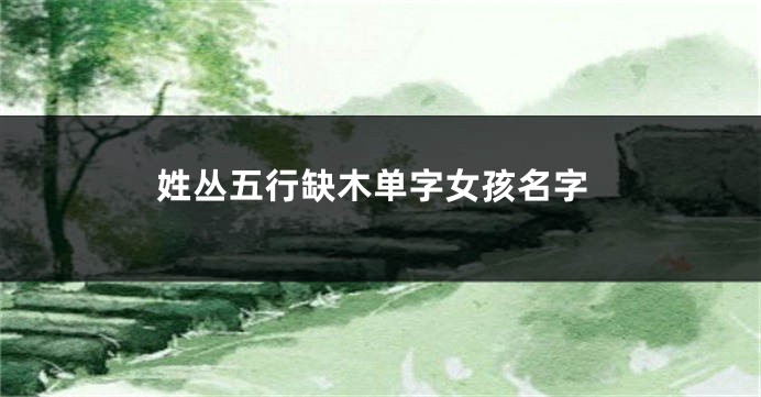姓丛五行缺木单字女孩名字