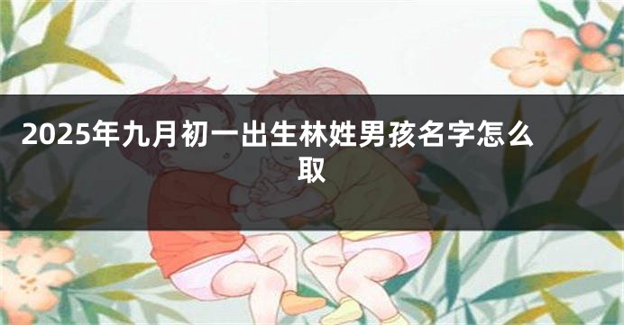 2025年九月初一出生林姓男孩名字怎么取