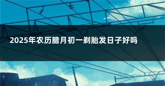 2025年农历腊月初一剃胎发日子好吗