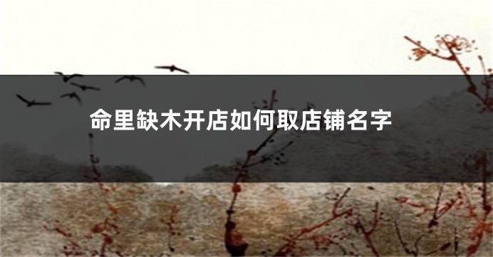 命里缺木开店如何取店铺名字
