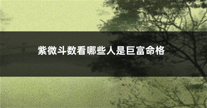 紫微斗数看哪些人是巨富命格