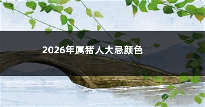 2026年属猪人大忌颜色