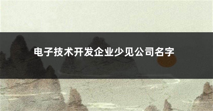 电子技术开发企业少见公司名字