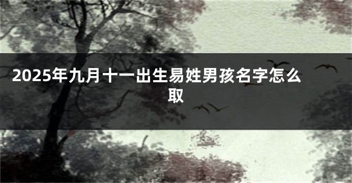 2025年九月十一出生易姓男孩名字怎么取