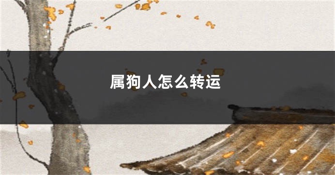 属狗人怎么转运