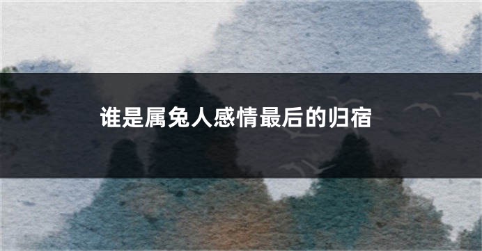 谁是属兔人感情最后的归宿