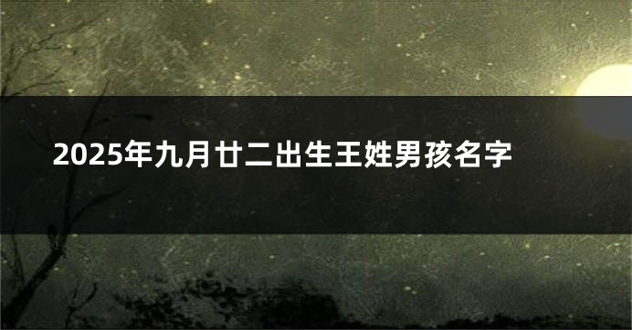 2025年九月廿二出生王姓男孩名字