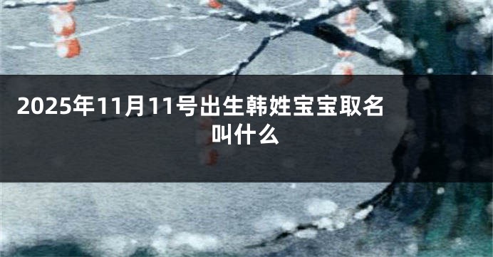 2025年11月11号出生韩姓宝宝取名叫什么