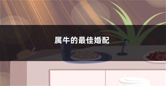 属牛的最佳婚配
