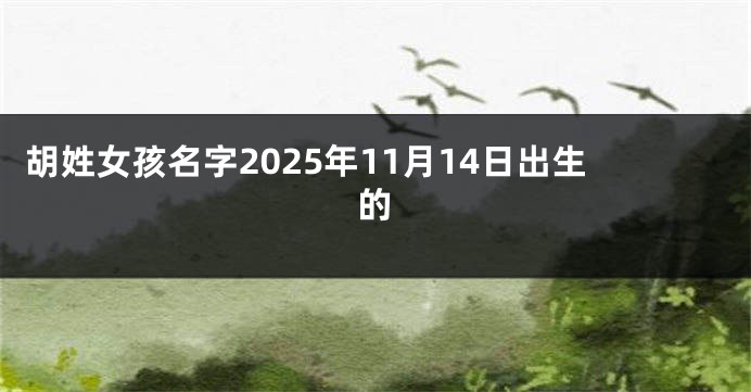 胡姓女孩名字2025年11月14日出生的