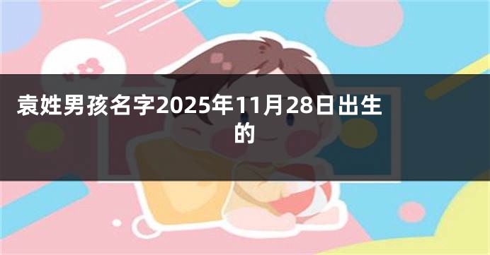 袁姓男孩名字2025年11月28日出生的
