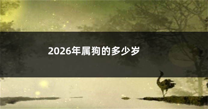 2026年属狗的多少岁