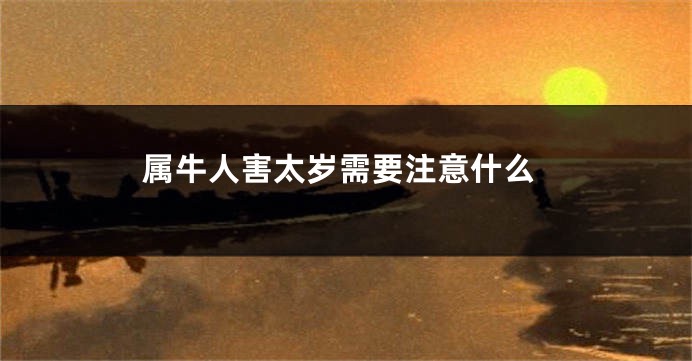 属牛人害太岁需要注意什么