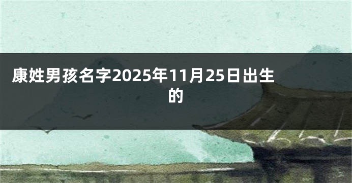 康姓男孩名字2025年11月25日出生的