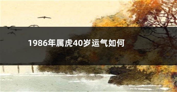 1986年属虎40岁运气如何