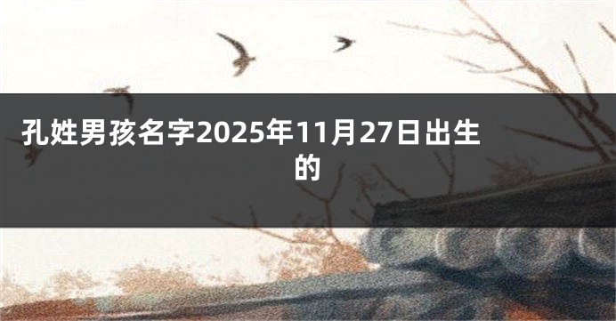 孔姓男孩名字2025年11月27日出生的