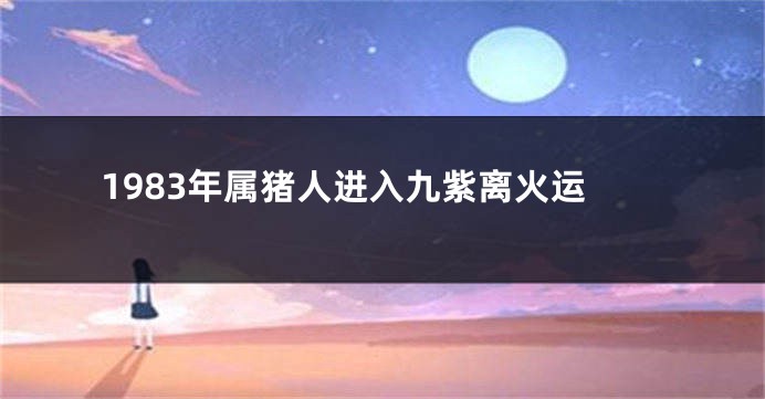 1983年属猪人进入九紫离火运