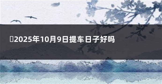 ​2025年10月9日提车日子好吗 