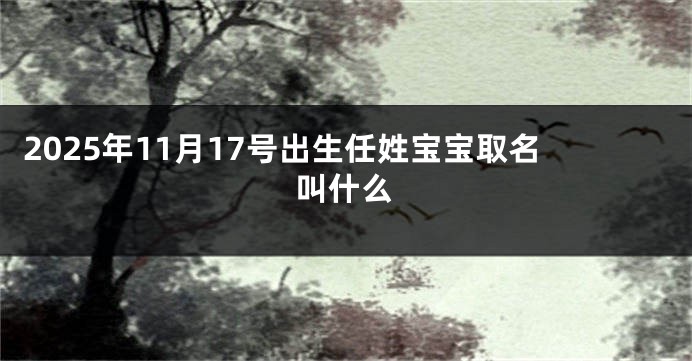 2025年11月17号出生任姓宝宝取名叫什么