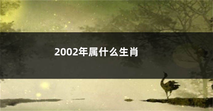 2002年属什么生肖