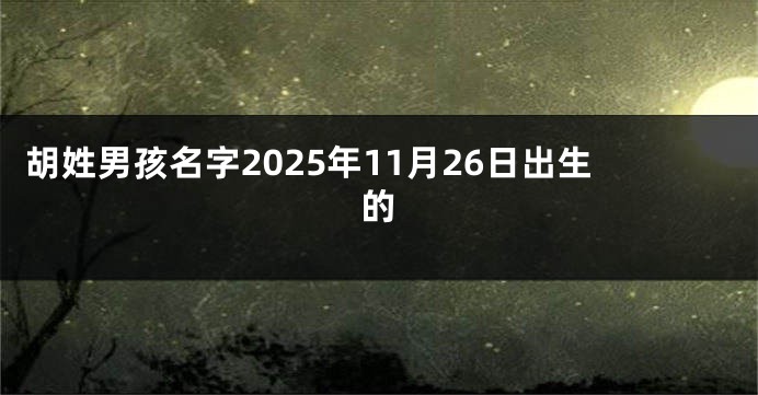 胡姓男孩名字2025年11月26日出生的