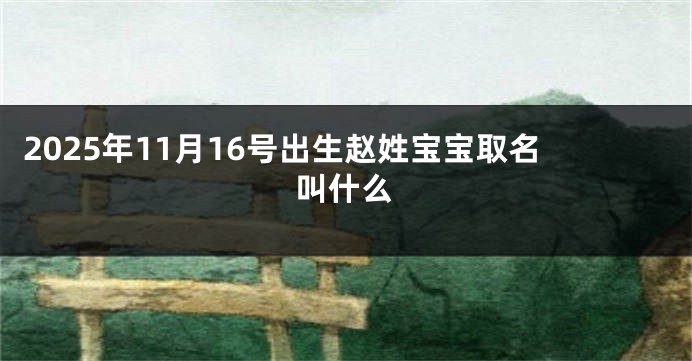 2025年11月16号出生赵姓宝宝取名叫什么