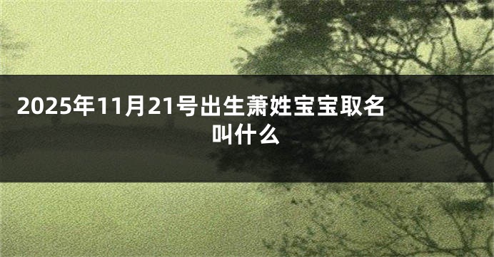 2025年11月21号出生萧姓宝宝取名叫什么