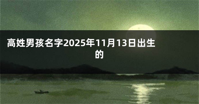 高姓男孩名字2025年11月13日出生的