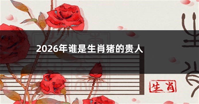 2026年谁是生肖猪的贵人