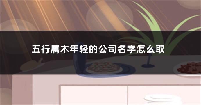 五行属木年轻的公司名字怎么取