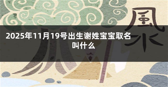 2025年11月19号出生谢姓宝宝取名叫什么