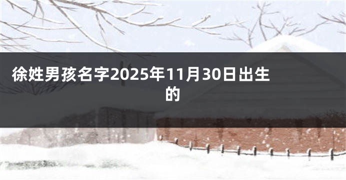 徐姓男孩名字2025年11月30日出生的