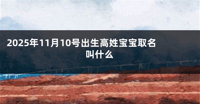 2025年11月10号出生高姓宝宝取名叫什么