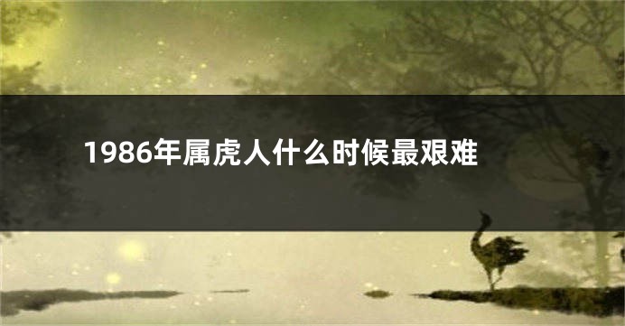 1986年属虎人什么时候最艰难