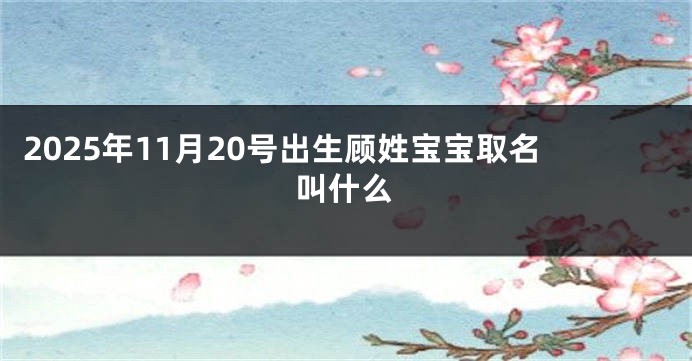 2025年11月20号出生顾姓宝宝取名叫什么