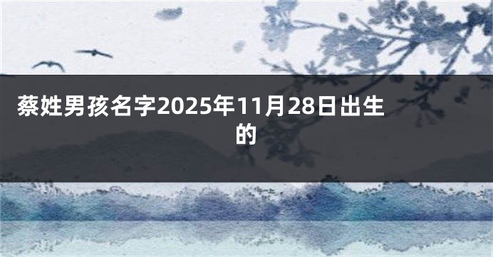 蔡姓男孩名字2025年11月28日出生的