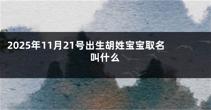 2025年11月21号出生胡姓宝宝取名叫什么