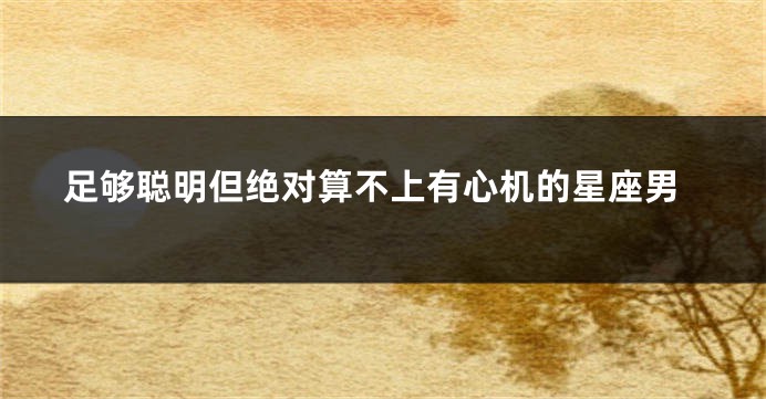 足够聪明但绝对算不上有心机的星座男