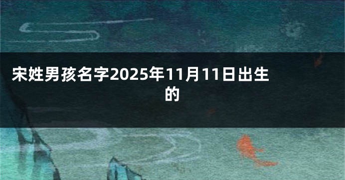 宋姓男孩名字2025年11月11日出生的