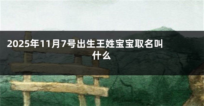 2025年11月7号出生王姓宝宝取名叫什么